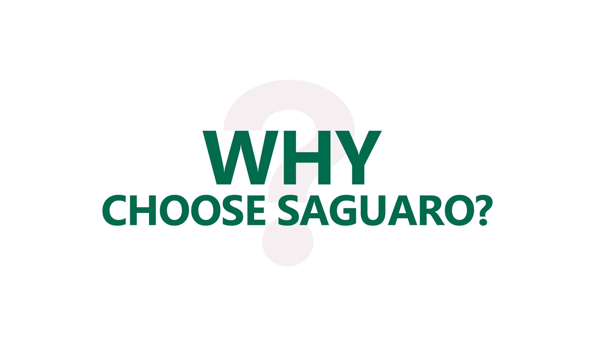 Saguaro Schuhe brand logo